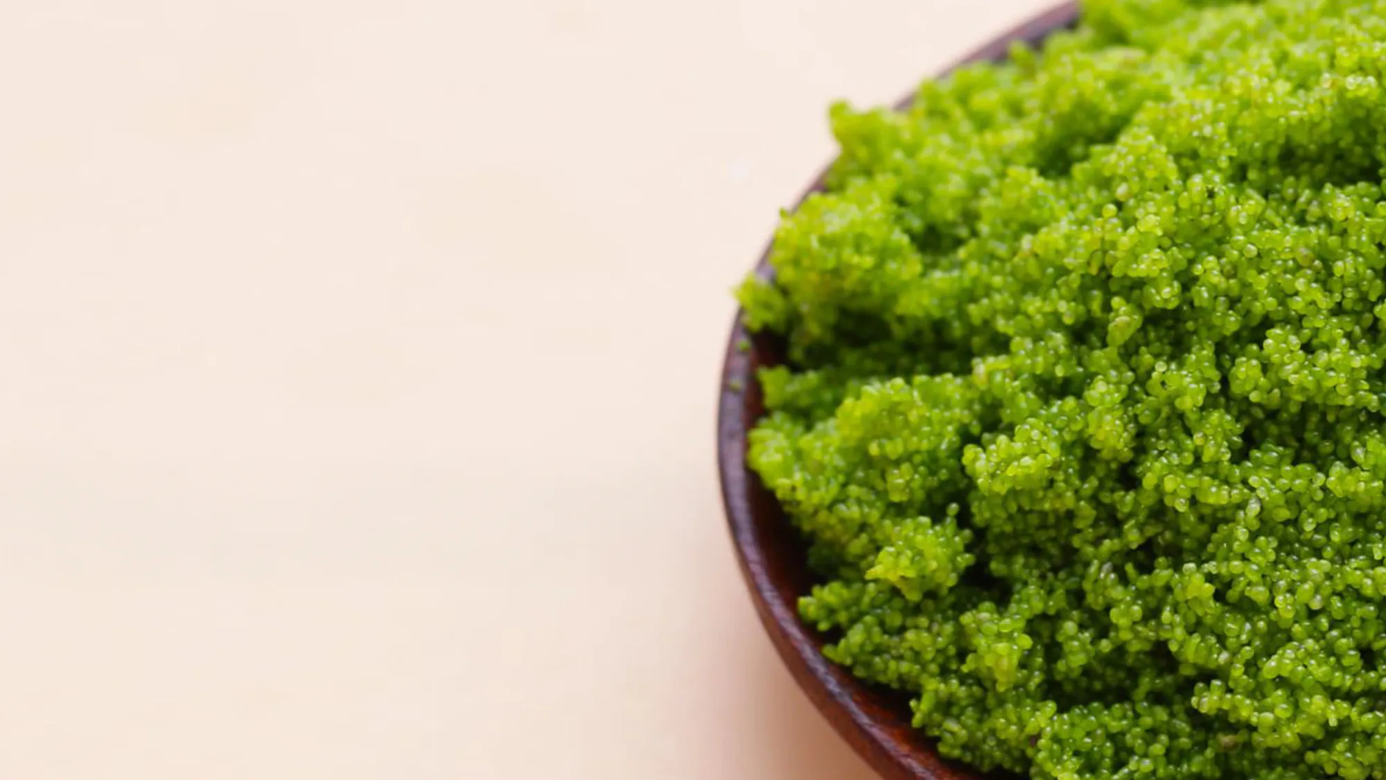 newhorizoncoverimage - 03