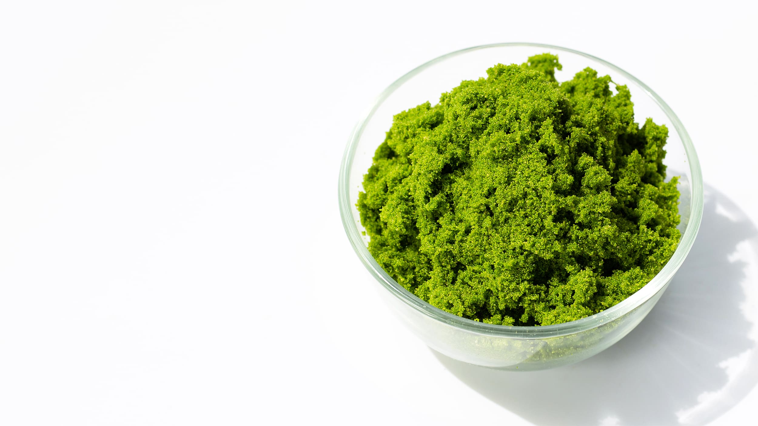 wolffia-globosa-image-hero-01