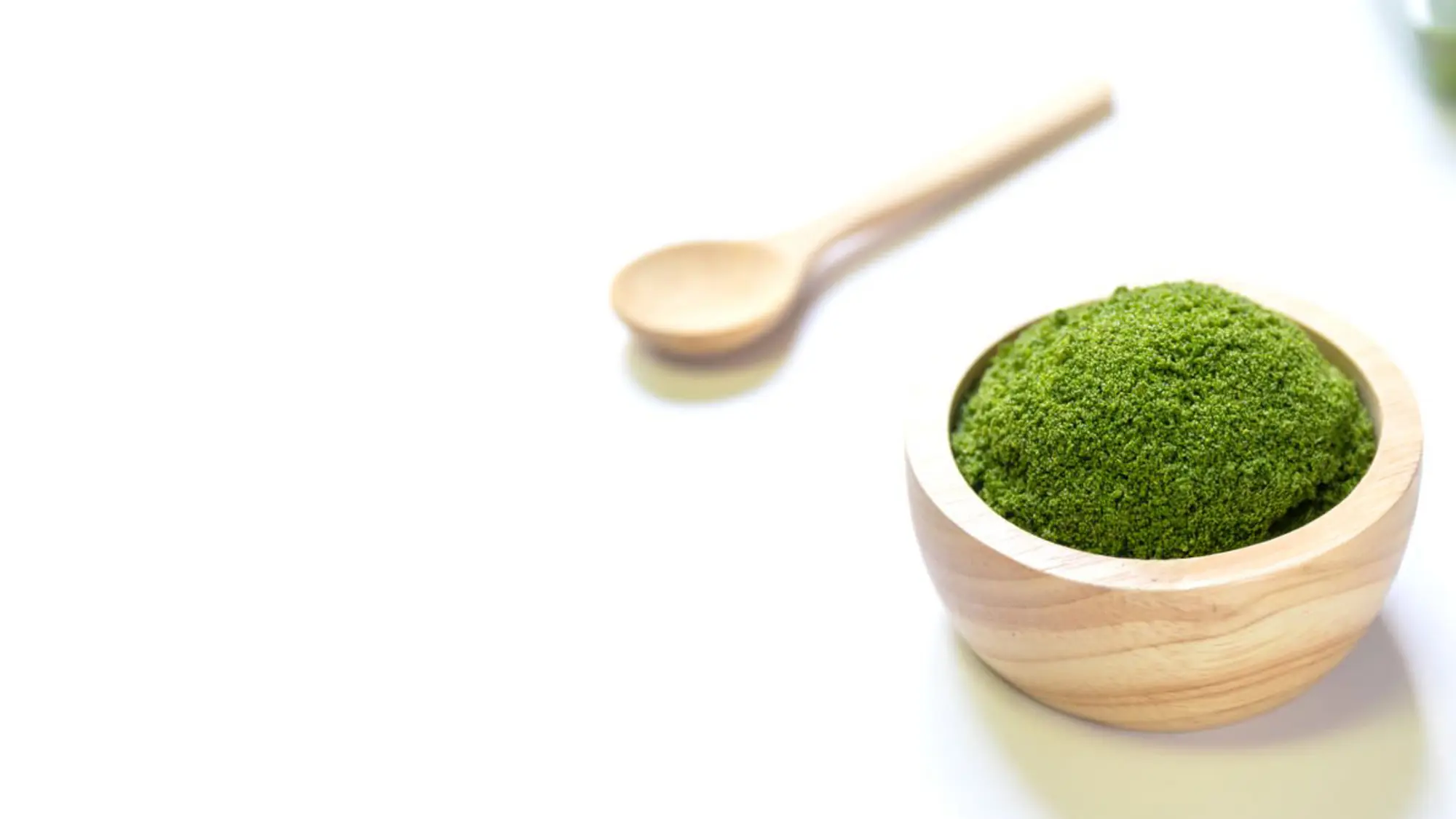 wolffiacoverimage 01_convert