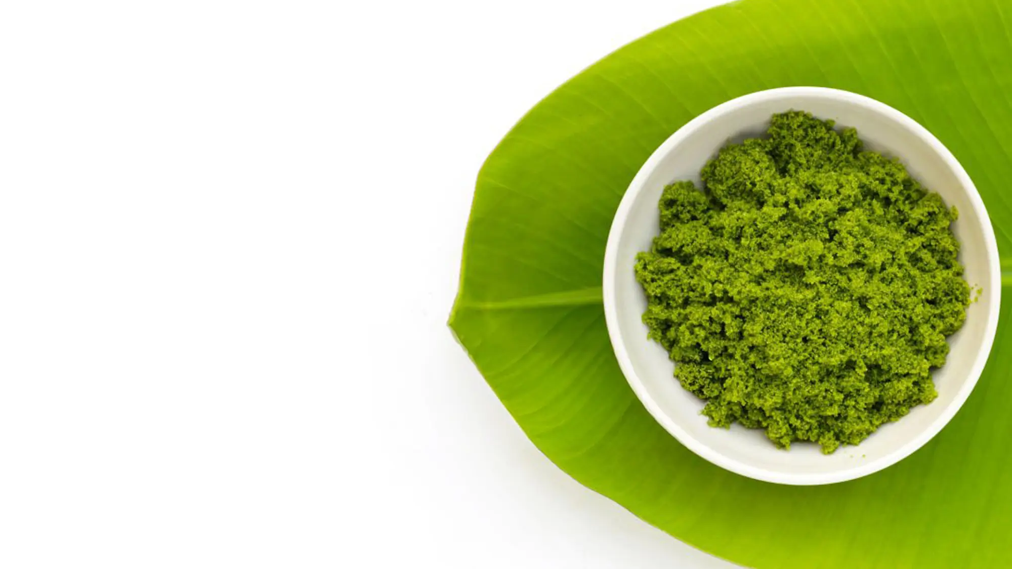 wolffiacoverimage 04_convert