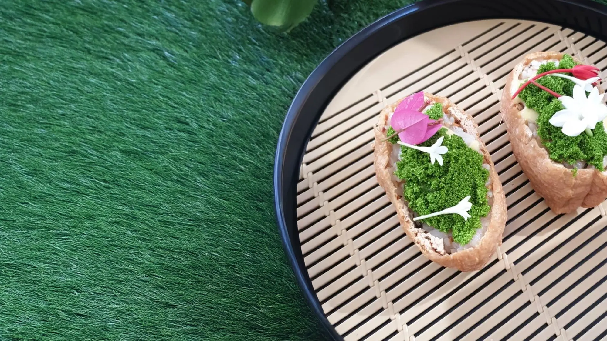 wolffiacoverimage 10_convert